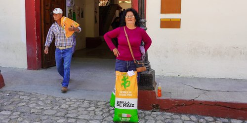 El Estado amplía apoyo a las y los potosinos para cultivar maíz de calidad