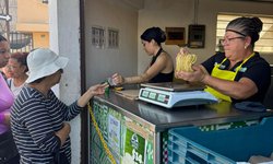 Gobierno estatal acerca tortilla subsidiada a más de 200 mil familias