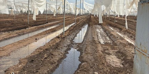 Tromba de granizo arrasa cultivos en la Capital y Villa de Arista