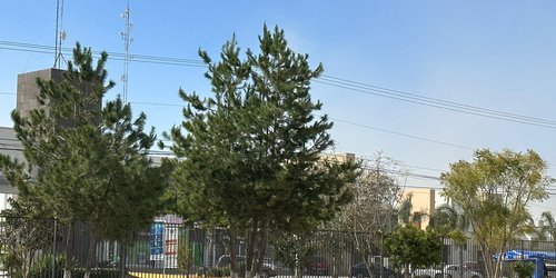 Cierran parques Tangamanga por fuertes vientos